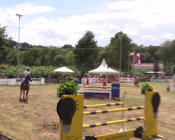 Reitturnier Borken 2017
