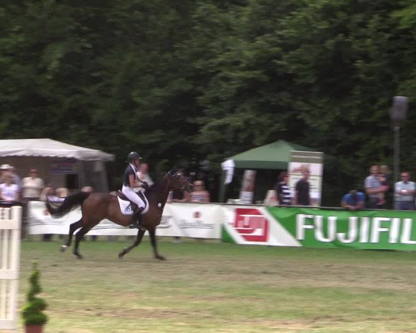 Reitturnier Borken 2017