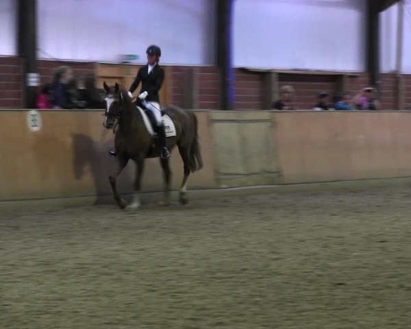 Reitturnier Iserlohn-Kalthof 2017