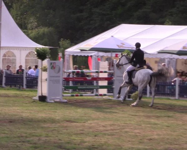 Reitturnier Borken 2017