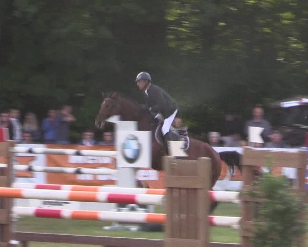 Reitturnier Borken 2017