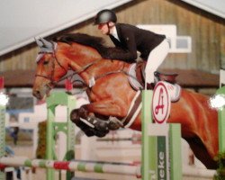 jumper Grace GB (Oldenburg, 2011, from Chamberland)