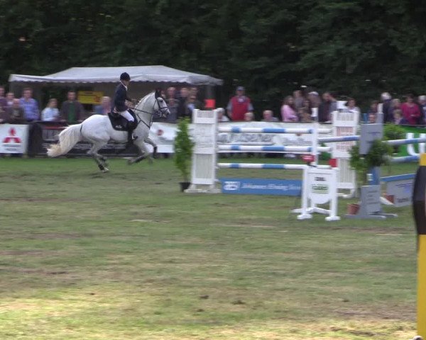 Reitturnier Borken 2017