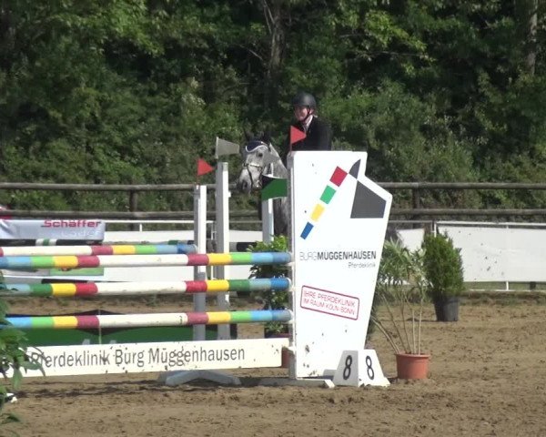 Reitturnier Frechen-Grefrath - Sonnenhof 2017