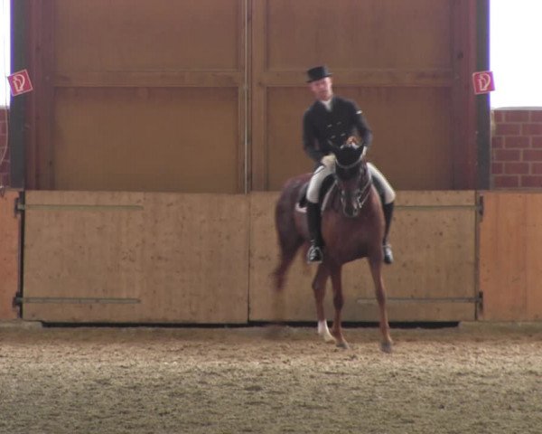 Reitturnier Iserlohn-Kalthof 2017