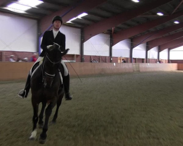 Reitturnier Iserlohn-Kalthof 2017