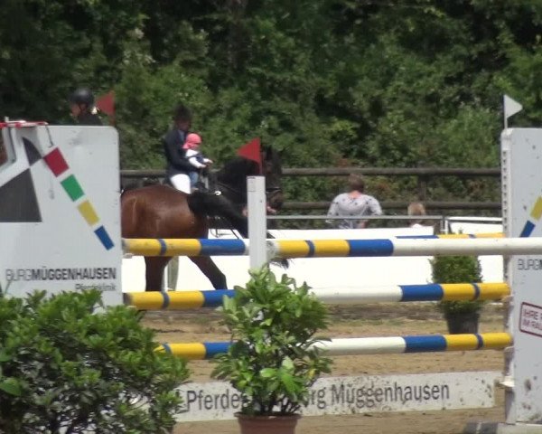 Reitturnier Frechen-Grefrath - Sonnenhof 2017