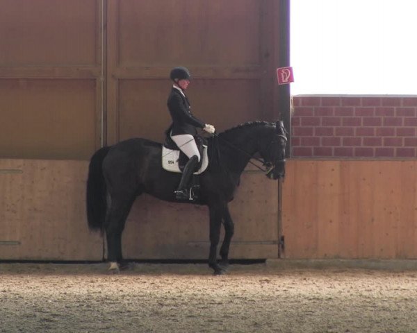 Reitturnier Iserlohn-Kalthof 2017
