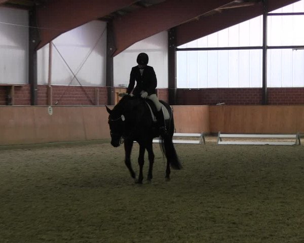 Reitturnier Iserlohn-Kalthof 2017