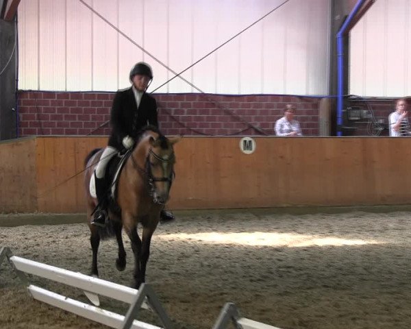 Reitturnier Iserlohn-Kalthof 2017