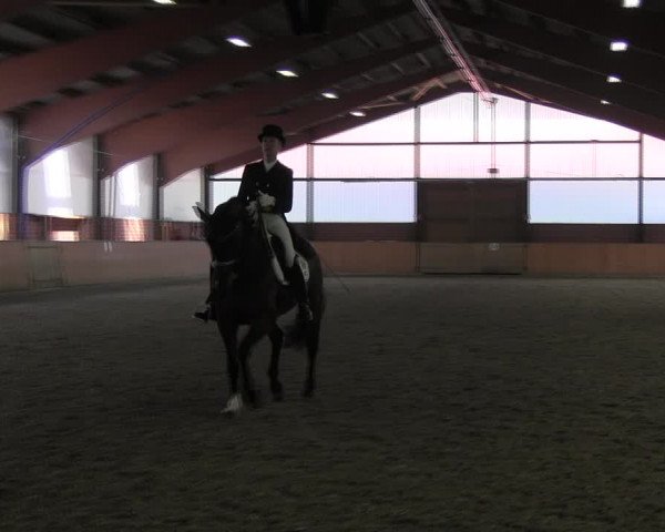 Reitturnier Iserlohn-Kalthof 2017