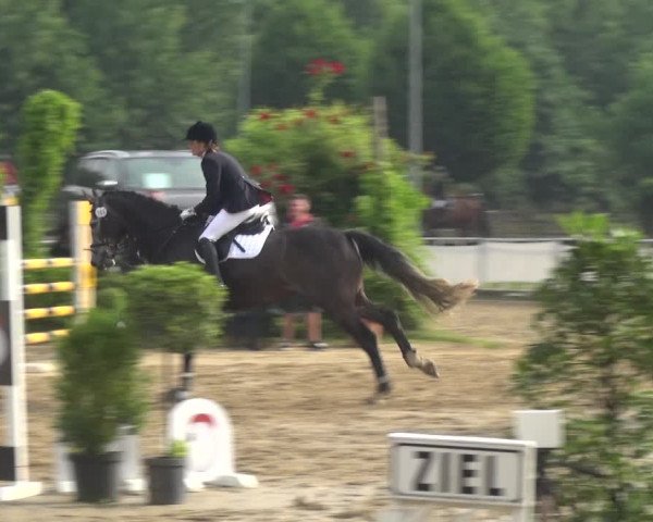 Reitturnier Frechen-Grefrath - Sonnenhof 2017