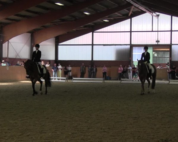 Reitturnier Iserlohn-Kalthof 2017