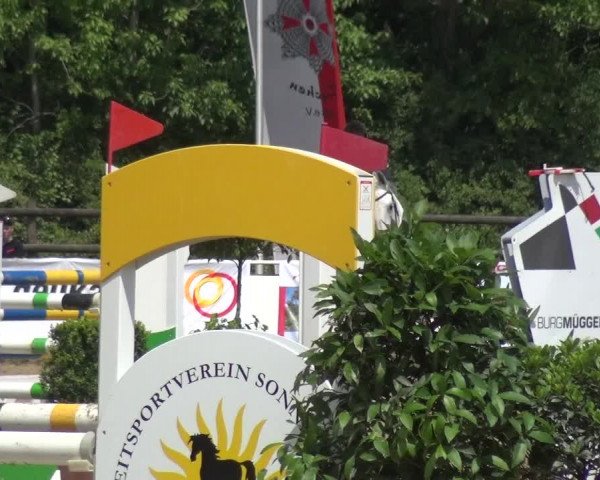Reitturnier Frechen-Grefrath - Sonnenhof 2017