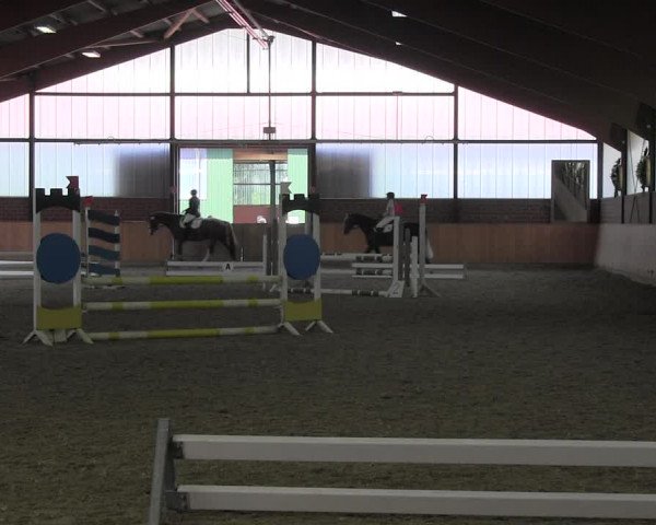 Reitturnier Iserlohn-Kalthof 2017