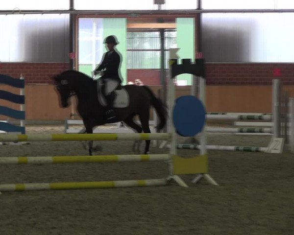 Reitturnier Iserlohn-Kalthof 2017