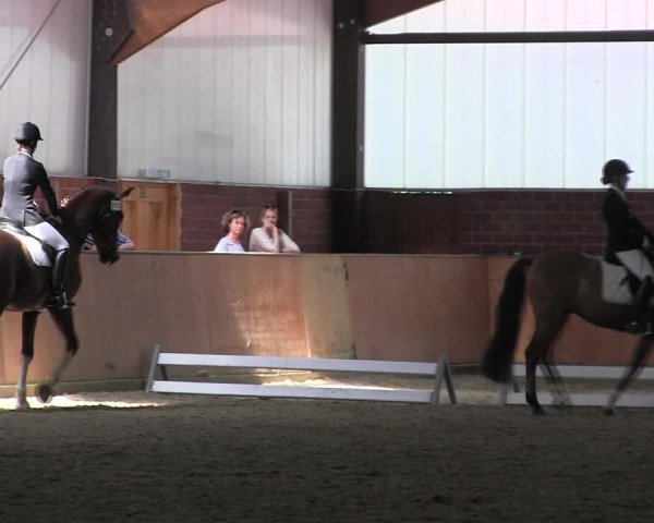 Reitturnier Iserlohn-Kalthof 2017