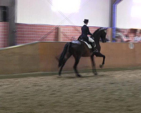 Reitturnier Iserlohn-Kalthof 2017