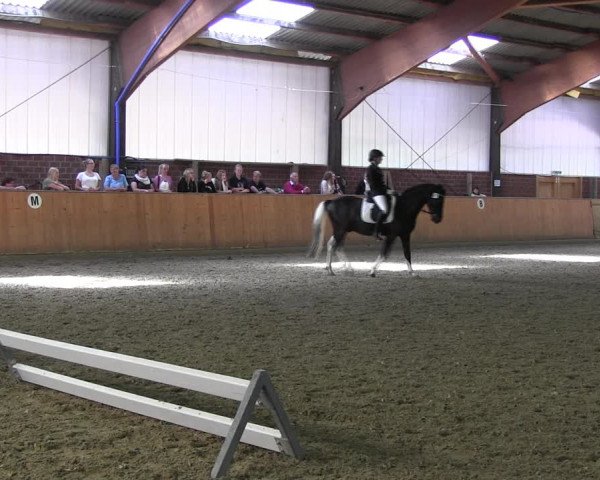 Reitturnier Iserlohn-Kalthof 2017