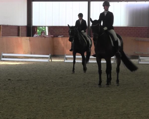Reitturnier Iserlohn-Kalthof 2017