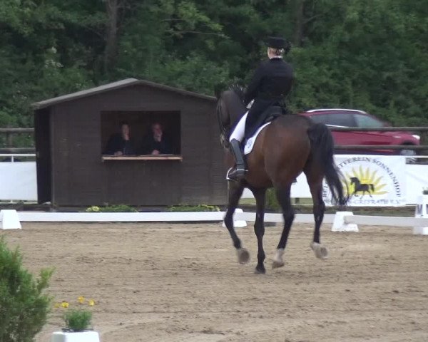 Reitturnier Frechen-Grefrath - Sonnenhof 2017