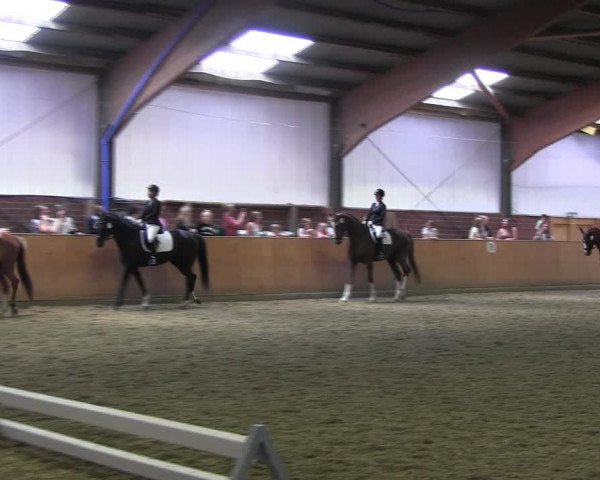 Reitturnier Iserlohn-Kalthof 2017