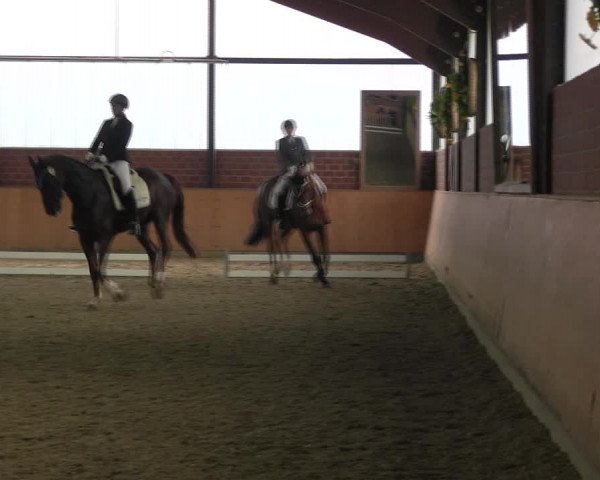 Reitturnier Iserlohn-Kalthof 2017