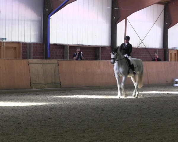 Reitturnier Iserlohn-Kalthof 2017
