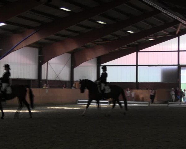 Reitturnier Iserlohn-Kalthof 2017