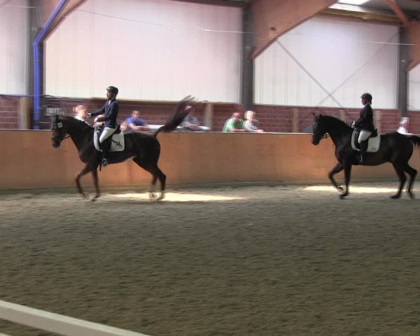 Reitturnier Iserlohn-Kalthof 2017