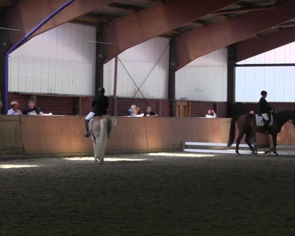Reitturnier Iserlohn-Kalthof 2017