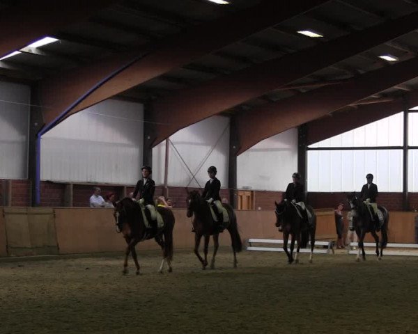 Reitturnier Iserlohn-Kalthof 2017