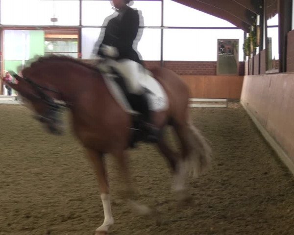 Reitturnier Iserlohn-Kalthof 2017