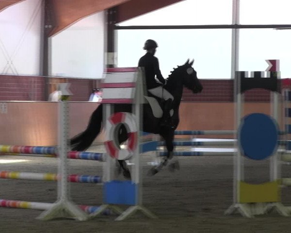 Reitturnier Iserlohn-Kalthof 2017