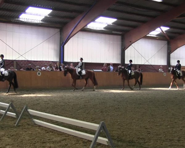 Reitturnier Iserlohn-Kalthof 2017