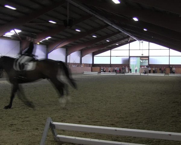 Reitturnier Iserlohn-Kalthof 2017