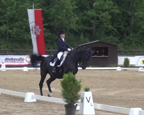Reitturnier Frechen-Grefrath - Sonnenhof 2017