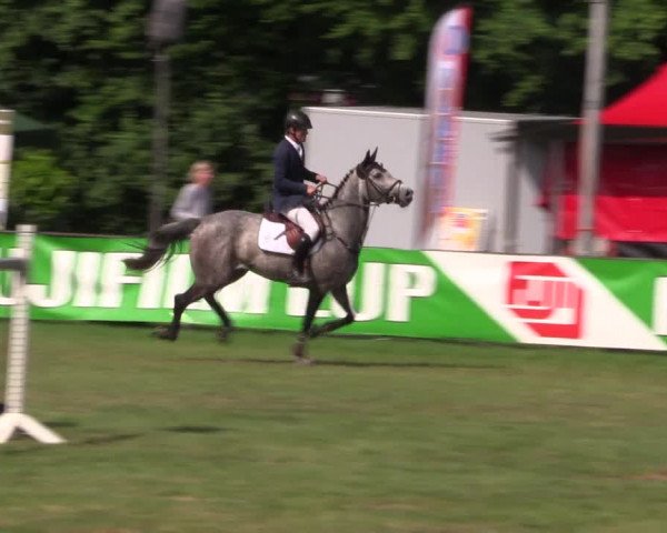 Reitturnier Borken 2017