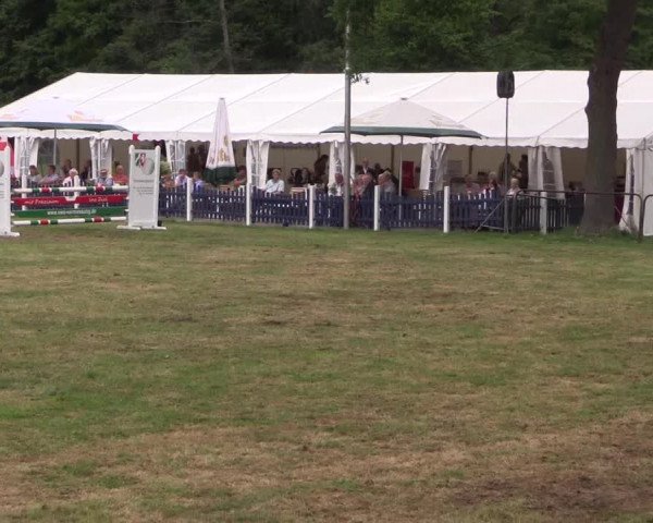 Reitturnier Borken 2017