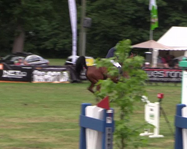 Reitturnier Borken 2017