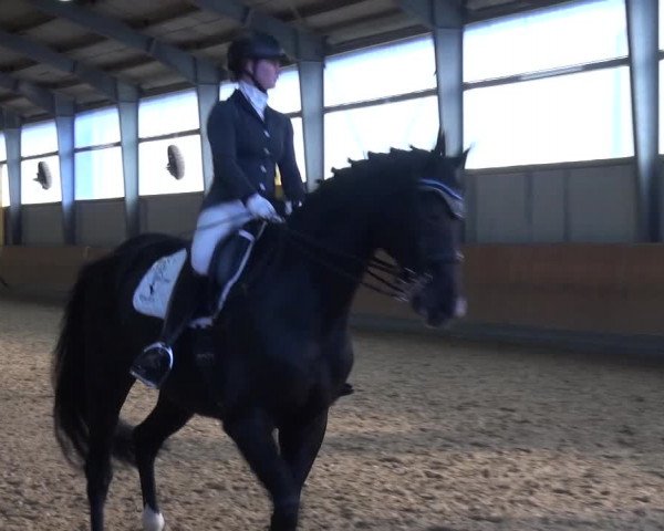 Reitturnier Frechen-Grefrath - Sonnenhof 2017