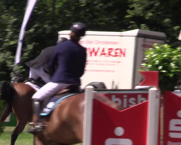 Reitturnier Borken 2017