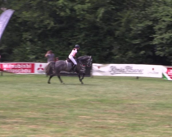Reitturnier Borken 2017