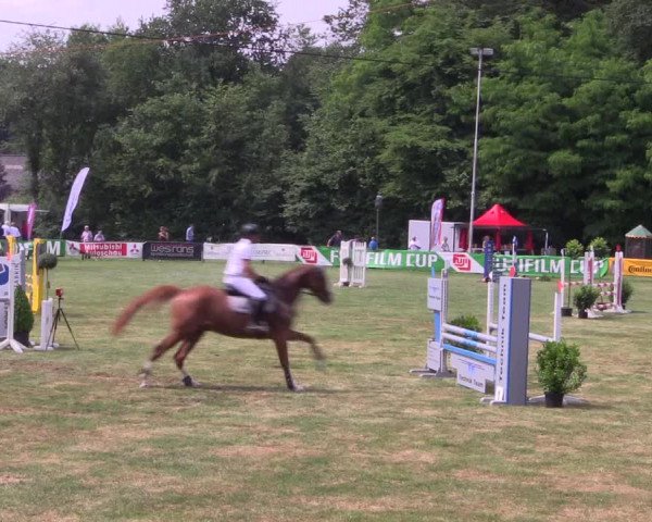 Reitturnier Borken 2017