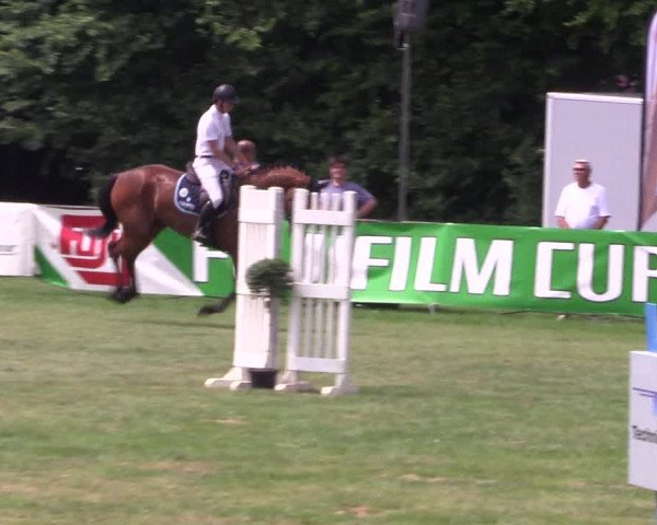 Reitturnier Borken 2017