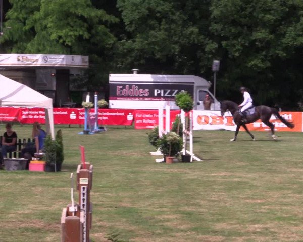 Reitturnier Borken 2017