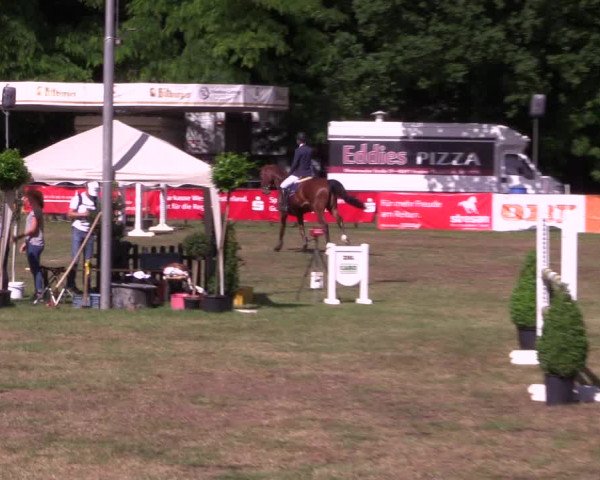 Reitturnier Borken 2017