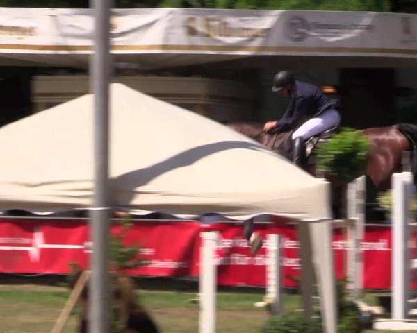Reitturnier Borken 2017
