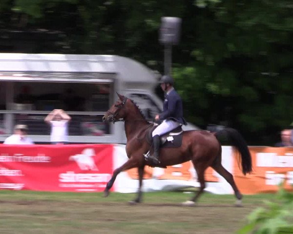 Reitturnier Borken 2017