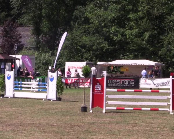 Reitturnier Borken 2017